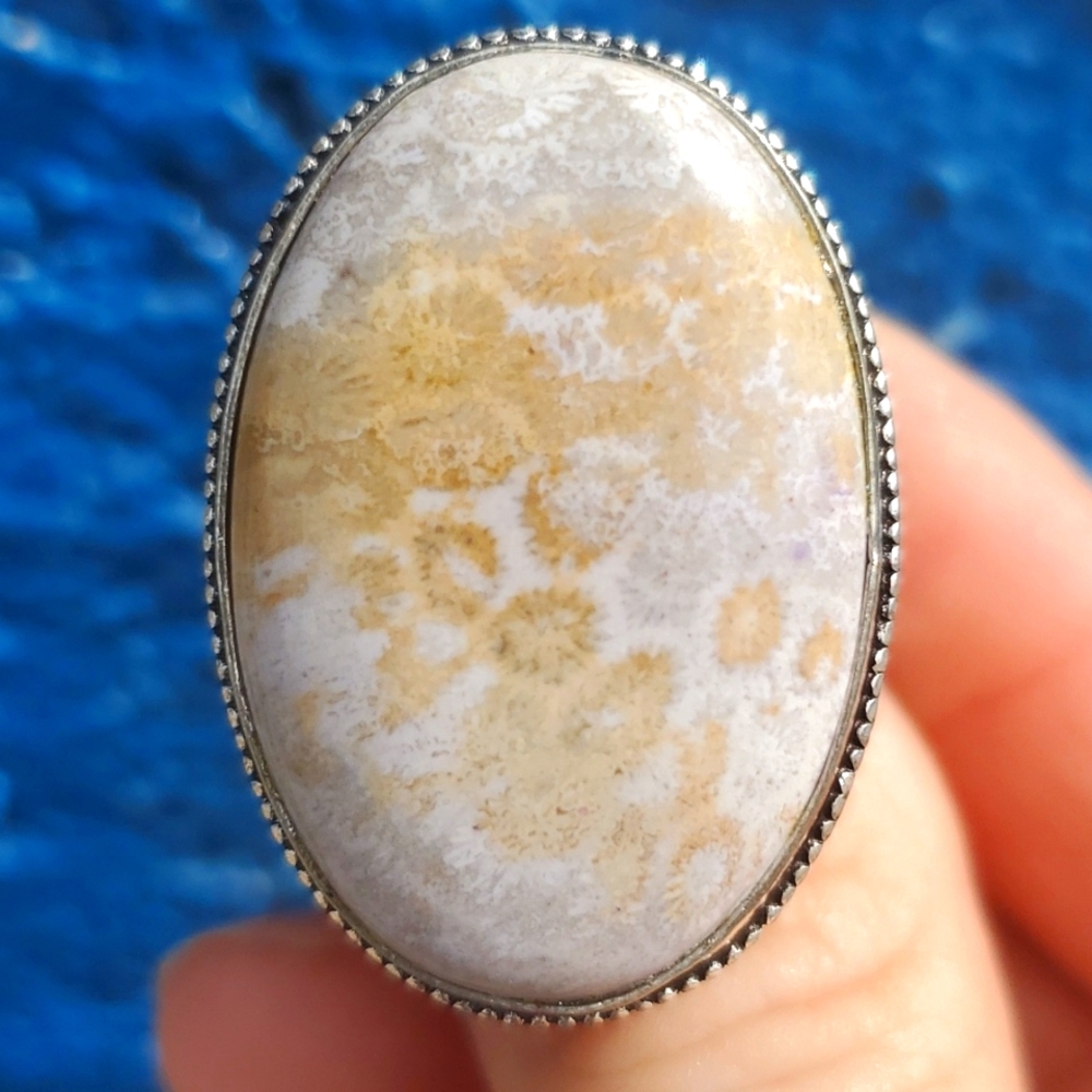 New Oversized Fossil Coral 925 Silver Ring.